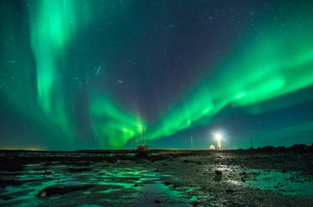Nordic Link